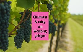 Winetime - Apartment Roschbach - Fuer Bis Zu 5 Personen - Idyllisch An Den Weinbergen Der Suedlichen Weinstrasse Zwischen Landau Und Neustadt Gelegen